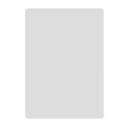  NIIMBOT Thermal labels Niimbot stickers 50x70 mm - 100 pcs. Silver