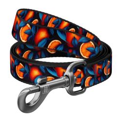  Waudog Nylon kutyaprz, minta ''Narancs'' 122 cm hossz Waudog